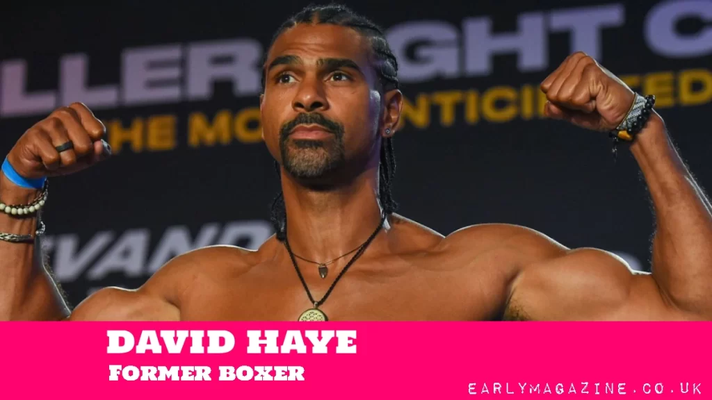 David Haye Net Worth