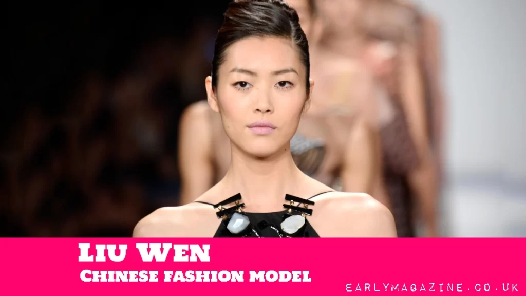 Liu Wen Net Worth