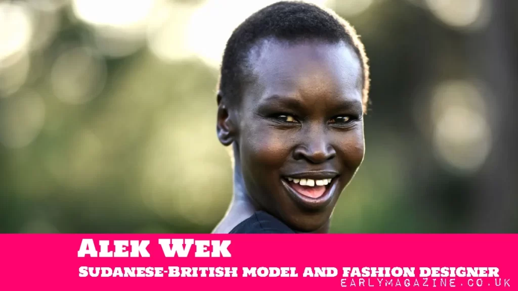 Alek Wek Net Worth