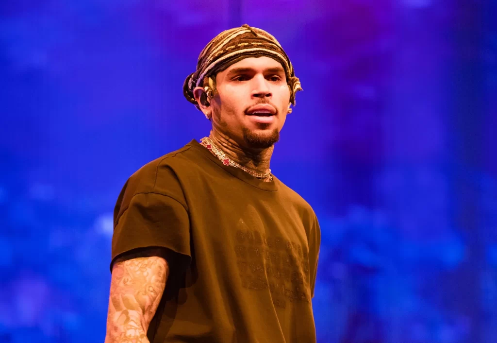 Chris Brown Hit With $14 Million Verdict After His Guard Dog Attacked a Housekeeper Chris Brown Hit With $14 Million Verdict After His Guard Dog Attacked a Housekeeper