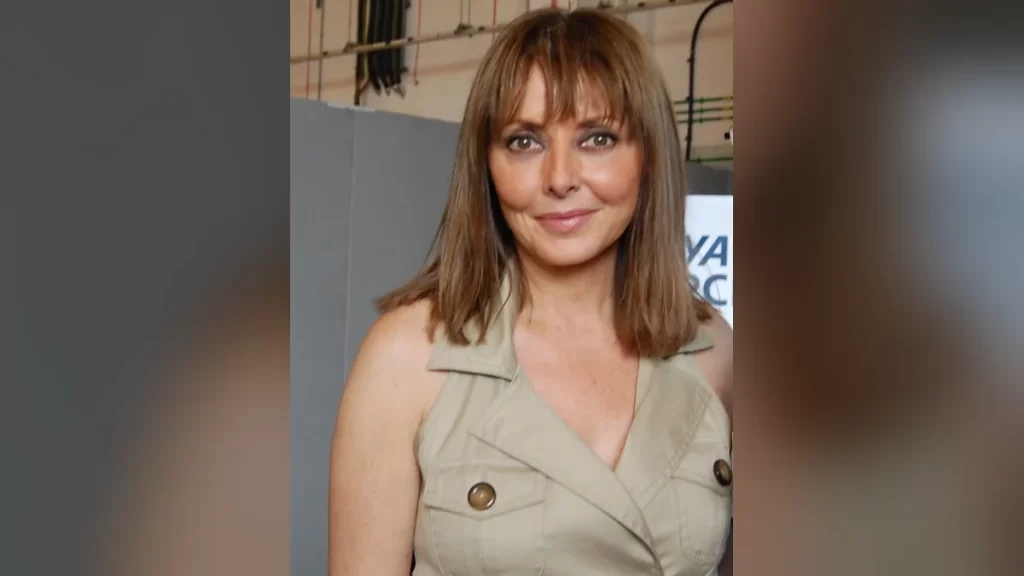 Carol Vorderman smiling at the camera with shoulder-length brown hair, wearing a sleeveless khaki shirt-dress, photographed indoors at the RAF Waddington Airshow in 2011.